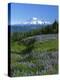 Mt. Rainer in distance, Meadows, Adams Wilderness, Mt, Washington, USA-Charles Gurche-Premier Image Canvas