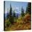 Mt Rainier Above Autumn Huckleberry, Chinook Pass, Washington, USA-Charles Gurche-Premier Image Canvas