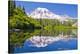 Mt Rainier and Bench Lake-null-Stretched Canvas