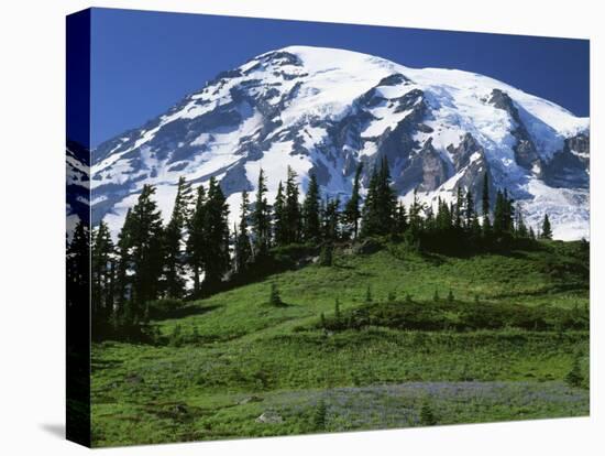 Mt. Rainier from Paradise, Mt. Rainier National Park, Washington, USA-Charles Gurche-Premier Image Canvas