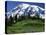 Mt. Rainier from Paradise, Mt. Rainier National Park, Washington, USA-Charles Gurche-Premier Image Canvas