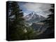 Mt Rainier In The Morning Light As Seen From The Pacific Crest Trail-Ron Koeberer-Premier Image Canvas