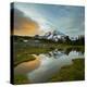 Mt. Rainier Is Reflected in a Small Tarn in Spray Park, Mt. Rainier National Park, Washington, USA-Gary Luhm-Premier Image Canvas