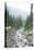 Mt. Rainier National Park, WA-Justin Bailie-Premier Image Canvas