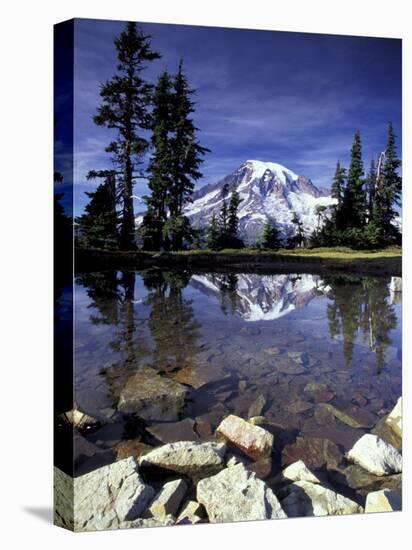 Mt. Rainier Reflected in Tarn, Mt. Rainier National Park, Washington, USA-Jamie & Judy Wild-Premier Image Canvas