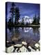 Mt. Rainier Reflected in Tarn, Mt. Rainier National Park, Washington, USA-Jamie & Judy Wild-Premier Image Canvas