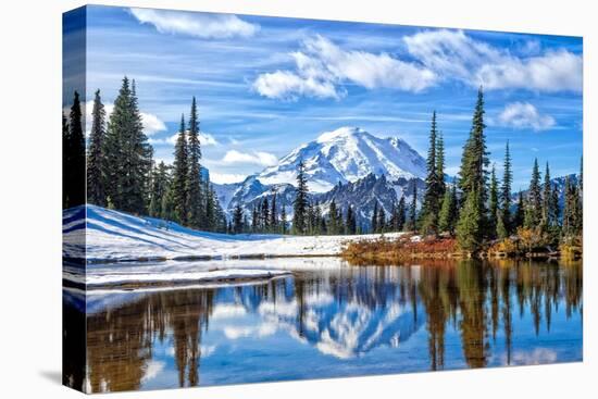 Mt. Rainier Vista-Michael Broom-Stretched Canvas