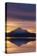 Mt. Shasta at Sunrise-DLILLC-Premier Image Canvas