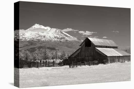 Mt. Shasta I-George Johnson-Premier Image Canvas