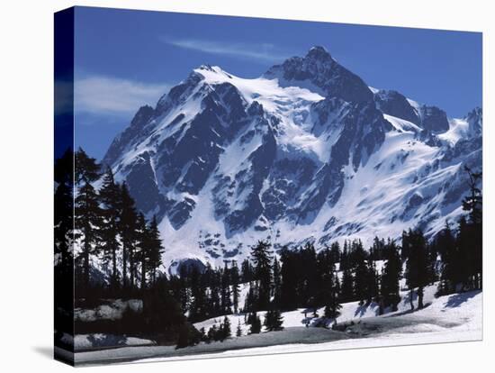 Mt. Shuksan, North Cascades National Park, Washington, USA-Charles Gurche-Premier Image Canvas