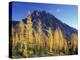 Mt. Stuart with Golden Larch Trees, Alpine Lakes Wilderness, Washington, USA-Jamie & Judy Wild-Premier Image Canvas