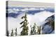 Mt. Washington, Vancouver Island, British Columbia, Canada-Stuart Westmorland-Premier Image Canvas