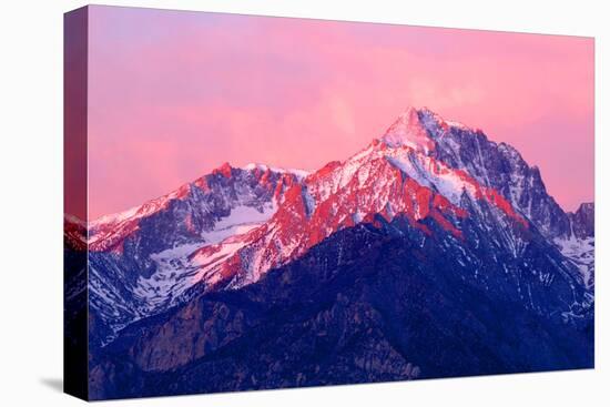 Mt Williamson Sunrise-Douglas Taylor-Stretched Canvas
