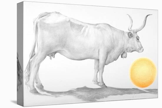 Mucca in Maremma-Antonio Ciccone-Premier Image Canvas
