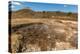Mud Pots, Fumaroles and Dormant Volcan Santa Clara at the San Jacinto Volcanic Thermal Area-Rob Francis-Premier Image Canvas