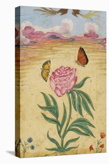 Mughal Miniature Painting Depicting a Peony with Birds of Paradise and Butterflies-Stapleton Collection-Premier Image Canvas