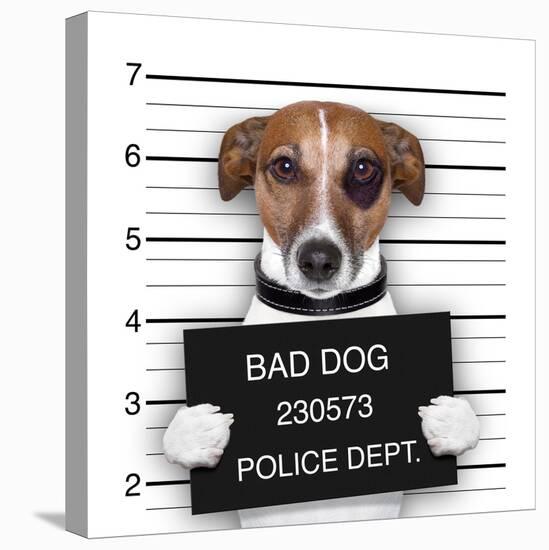 Mugshot Dog-Javier Brosch-Premier Image Canvas