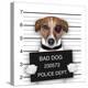 Mugshot Dog-Javier Brosch-Premier Image Canvas