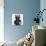 Mugshot Dog-Javier Brosch-Premier Image Canvas displayed on a wall