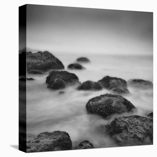 Muir Beach II-Jamie Cook-Stretched Canvas