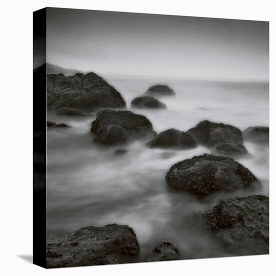 Muir Beach-Jamie Cook-Premier Image Canvas