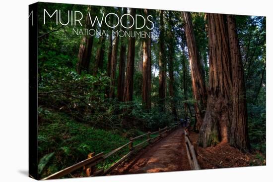 Muir Woods National Monument, California - Path #2-Lantern Press-Stretched Canvas