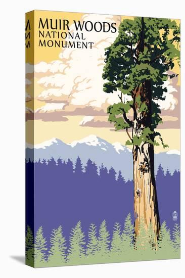 Muir Woods National Monument, California - Towering Redwood-Lantern Press-Stretched Canvas