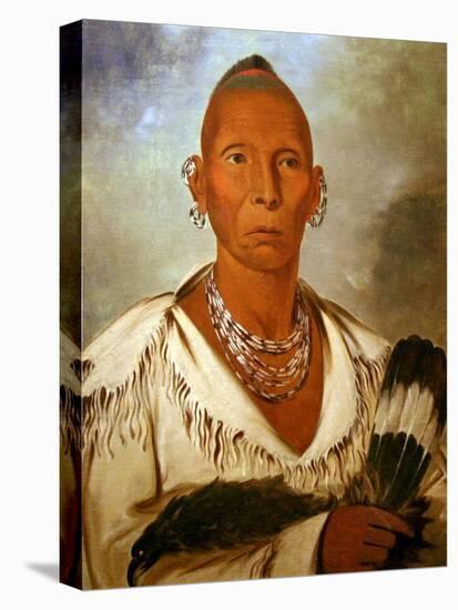 Múk-A-Tah-Mish-O-Káh-Kaik, Black Hawk, Prominent Sac Chief-George Catlin-Stretched Canvas