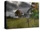 Mulane-Jim Crotty-Premier Image Canvas