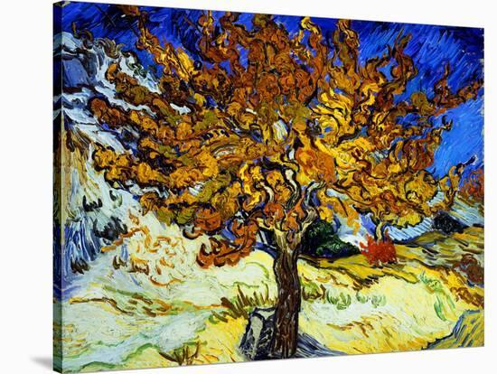 Mulberry Tree, c.1889-Vincent van Gogh-Stretched Canvas