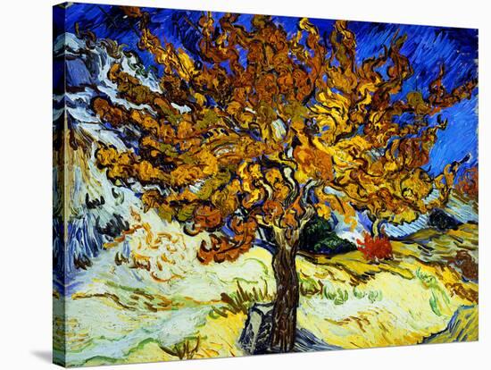 Mulberry Tree, c.1889-Vincent van Gogh-Premier Image Canvas