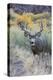 Mule deer buck, high desert autumn-Ken Archer-Premier Image Canvas