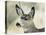 Mule Deer, Buck, Idaho, Usa-Gerry Reynolds-Premier Image Canvas