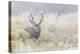 Mule Deer Buck-Ken Archer-Premier Image Canvas