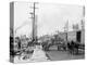 Mule Teams and the Levee, New Orleans, Louisiana-null-Stretched Canvas