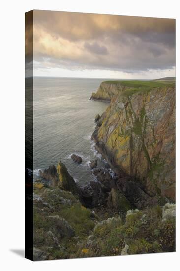 Mull of Galloway, Rhins of Galloway, Dumfries and Galloway, Scotland, UK-Gary Cook-Premier Image Canvas