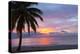 Mullins Beach, St. Peter, Barbados, West Indies, Caribbean, Central America-Frank Fell-Premier Image Canvas