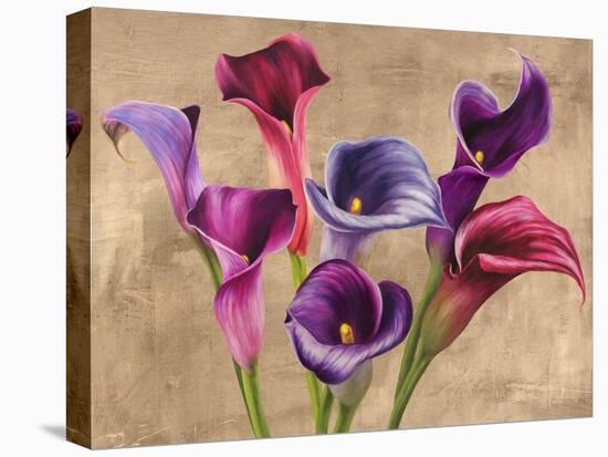 Multi-colored Callas-Jenny Thomlinson-Stretched Canvas