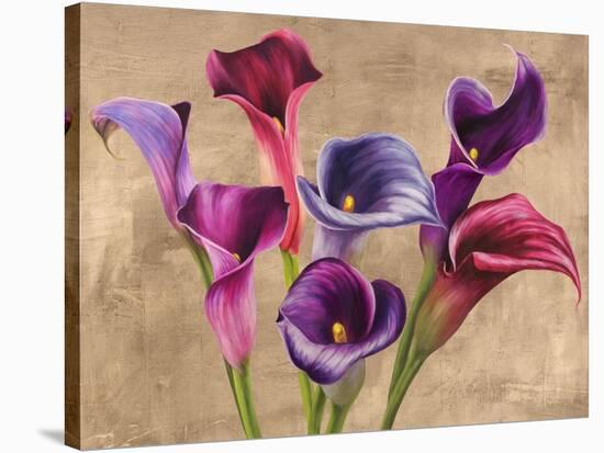 Multi-colored Callas-Jenny Thomlinson-Stretched Canvas