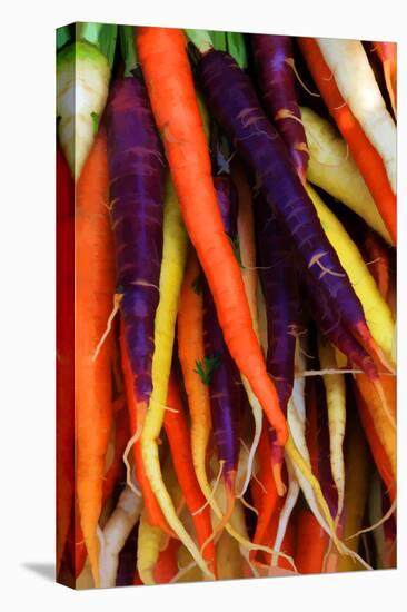 Multi Colored Carrots at a Farmer's Market in Savannah, Georgia, USA-Joanne Wells-Premier Image Canvas