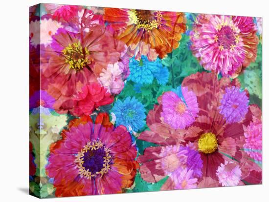 Multicolor Blossom Design from Zinnia, Gerber Daisy and Texture, Photographic Layer Work-Alaya Gadeh-Premier Image Canvas