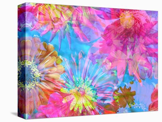 Multicolor Blossom Design from Zinnia, Gerber Daisy and Texture, Photographic Layer Work-Alaya Gadeh-Premier Image Canvas