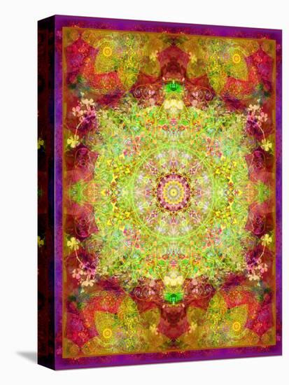 Multicolor Ornament from Flower Photographs-Alaya Gadeh-Premier Image Canvas
