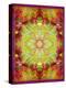 Multicolor Ornament from Flower Photographs-Alaya Gadeh-Premier Image Canvas