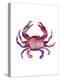 Multicolored Crab-Edward Selkirk-Stretched Canvas