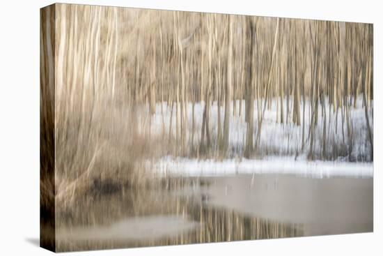 Multiple Exposure of Trees in Winter, Eagle Creek Park, Indiana-Rona Schwarz-Premier Image Canvas