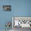 Multiple exposures of toy army men-null-Stretched Canvas displayed on a wall