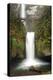 Multnomah Falls and Creek, Multnomah Falls Sp, Columbia Gorge, Oregon-Michel Hersen-Premier Image Canvas