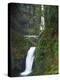 Multnomah Falls, Columbia Gorge National Scenic Area, Oregon, USA-Charles Gurche-Premier Image Canvas