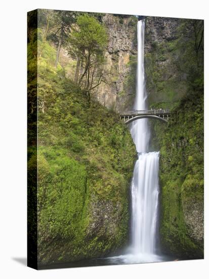 Multnomah Falls, Columbia Gorge National Scenic Area, Oregon, USA-Chuck Haney-Premier Image Canvas